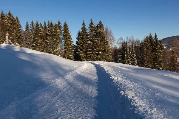 Paisagem de inverno, a estrada vai para a distância, ao longo das árvores cobertas de neve queimadas. Fabuloso, foto mística — Fotografia de Stock