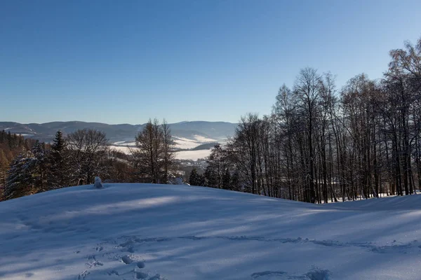 Paisaje panorámico de invierno con bosque, árboles cubiertos de nieve y amanecer. Mañana invernal de un nuevo día. paisaje de invierno con puesta de sol, vista panorámica — Foto de Stock