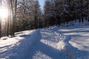 Kış manzarası, yol boyunca yandı aşağı kar kaplı ağaçlar mesafe içine gider. Muhteşem, mistik fotoğraf