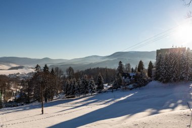 Orman ile kış Panorama peyzaj, ağaçlar kar ve gündoğumu kaplı. Yeni bir günün kış sabahı. günbatımı ile kış manzara, panoramik görünüm
