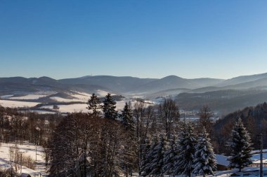 Orman ile kış Panorama peyzaj, ağaçlar kar ve gündoğumu kaplı. Yeni bir günün kış sabahı. günbatımı ile kış manzara, panoramik görünüm
