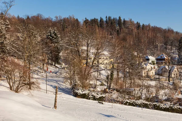 Träd täckta med hesparfrost och snö i bergen — Stockfoto