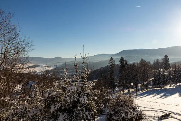 Winter panorama landscape with forest, trees covered snow and sunrise. winterly morning of a new day. winter landscape with sunset, panoramic view