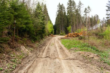 lastik izleri kırsal bir çamurlu yolda