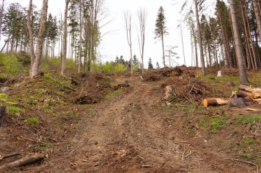 lastik izleri kırsal bir çamurlu yolda