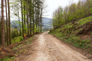 Ormanda off road. Dağ manzarası