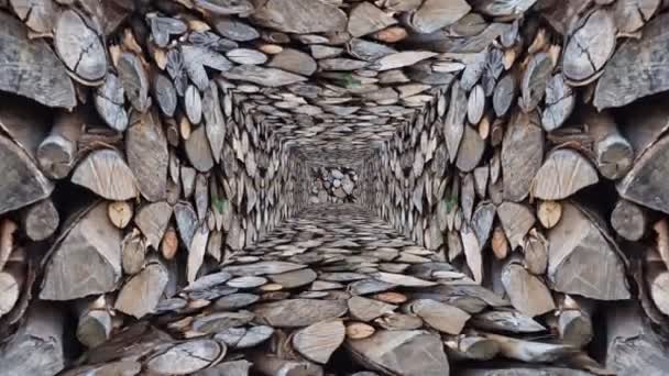 木製トンネルに向かって前進するカメラのシームレスなループアニメーション — ストック動画