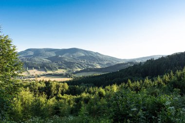 Mavi gökyüzü konsepti ile çayır manzara manzara.