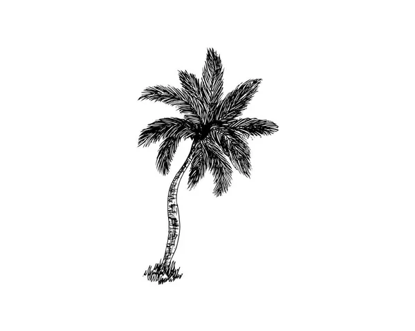 Silhouette of palm trees on the island. Vector illustration isolated white background. — Stock Vector