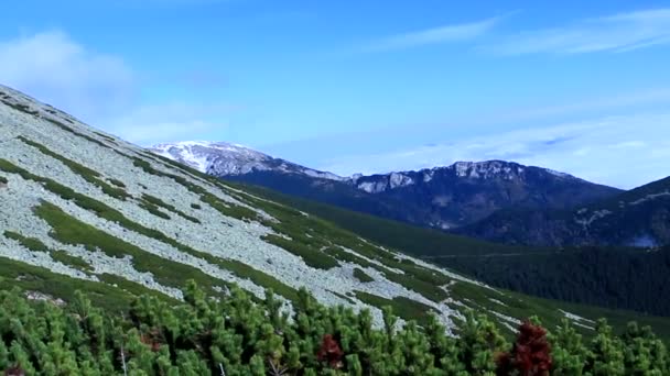 Uma Vista Ropeway Uma Paisagem Montanha Movente — Vídeo de Stock