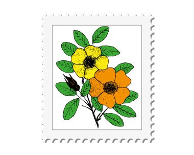 Vektör posta damga çerçevesi arka plan. Beyaz arka planda güzel izole çiçekler. Renk tasarım elemanları.