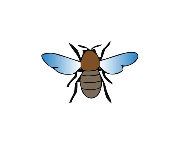 Fly, векторная иллюстрация домашней мухи изолированы на белом фоне. Блестящее насекомое . — стоковый вектор
