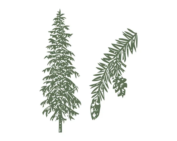 Ветка дерева с зелеными листьями на белом фоне. Векторная графика Элемент оформления . — стоковый вектор