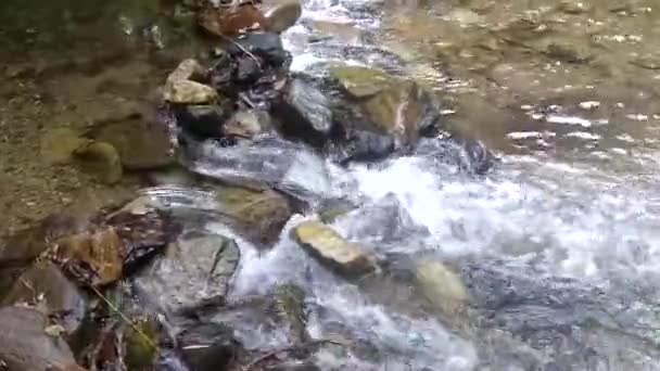 Encadrement sous-marin d'une cascade le long d'un ruisseau de montagne d'où jaillit de l'eau douce et pure.