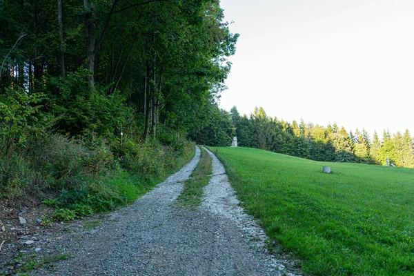 Zusammengesetzte Landschaft. Zaun neben Straße, der den Hügel hinunter durch Wiese und Wald ins Hochgebirge im Abendlicht führt — Stockfoto