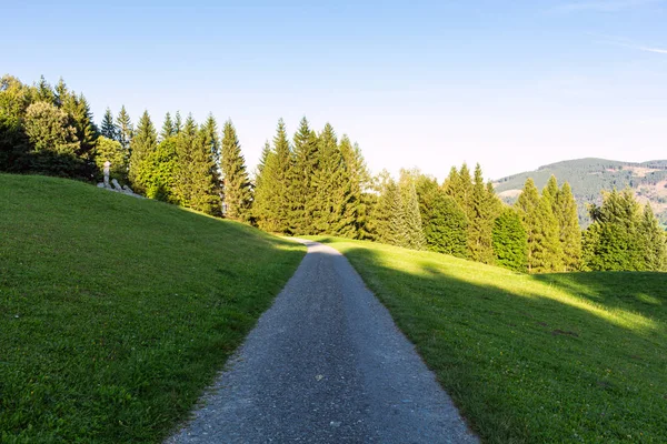 Composite landscape. fence near road going down the hill through meadow and forest to the high mountains in evening light — Stock Photo, Image