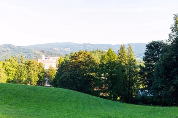 Krajina s borovými lesy v horách v létě — Stock fotografie