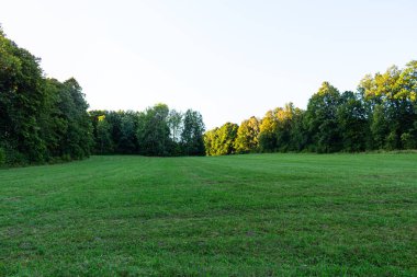 Yazın dağlarda çam ormanları olan manzara