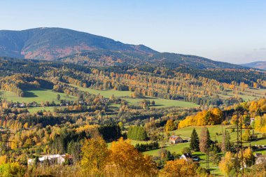 yemyeşil yeşil yaz orman yolundan Panoraması