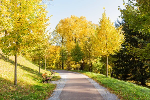 Der Weg führt in eine Richtung. Der Weg zum Herbstpark mitten im Wald. — Stockfoto