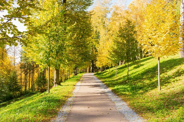 Der Weg führt in eine Richtung. Der Weg zum Herbstpark mitten im Wald. — Stockfoto