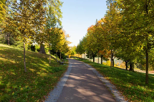 Der Weg führt in eine Richtung. Der Weg zum Herbstpark mitten im Wald. — Stockfoto