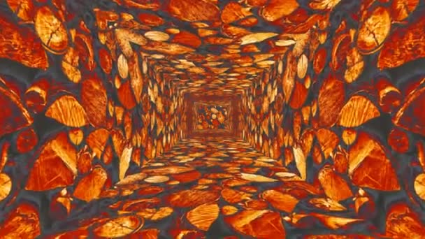 穿过一条通向地下某个神秘空间的木隧道 — 图库视频影像