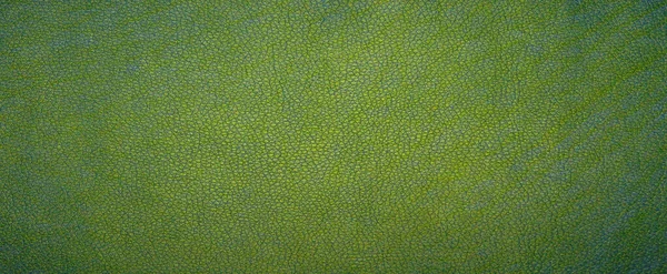 Fond Dégradé Vert Avec Texture Floue Douce Gris Centre Blanc — Photo
