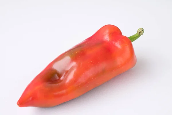 Red Hot Chili Pepper White Background — Stock Photo, Image