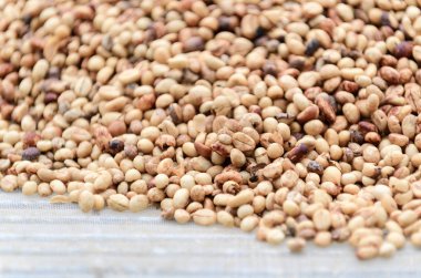 Kopi luwak ya da misk kahve, kahve, seçici odak ve ürün Vietnam dünyanın en pahalı ve düşük üretim çeşitleri biridir