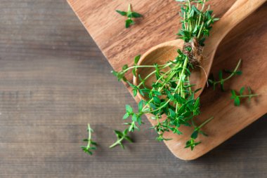 Ahşap zemin üzerine kekik taze ot. Mutfak, tıbbi ve süs kullanımlarıyla aromatik bir çok yıllık herdem yeşil bitki olduğunu