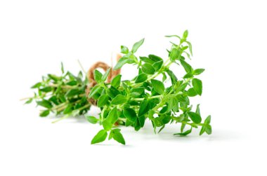 Kekik taze ot closeup beyaz arka plan üzerinde izole. Mutfak, tıbbi ve süs kullanımlarıyla aromatik bir çok yıllık herdem yeşil bitki olduğunu