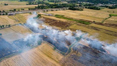 Üstten görünüm, hava kirliliği ve küresel ısınma konsepti pirinç anız yakma duman