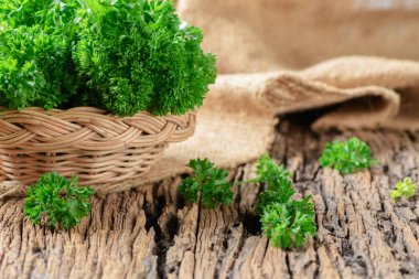 Taze maydanoz yaprak bambu sepet ve ahşap arka plan, ot ve madde gıda kavramı