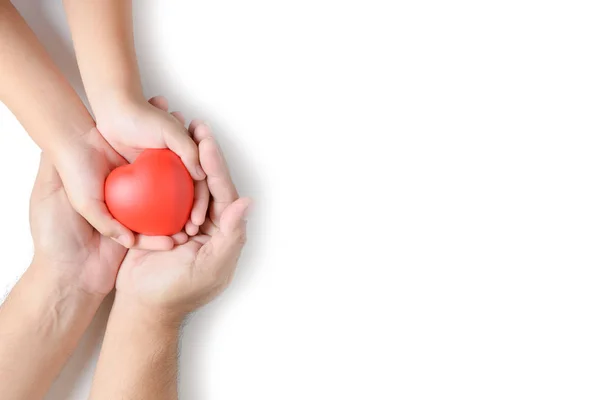 Manos Adultos Niños Sosteniendo Corazón Rojo Aislado Sobre Fondo Blanco — Foto de Stock