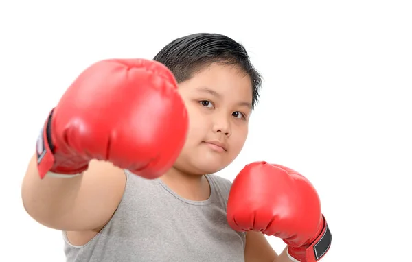 Niño Gordo Obeso Luchando Con Guantes Boxeo Rojos Aislados Sobre —  Fotos de Stock