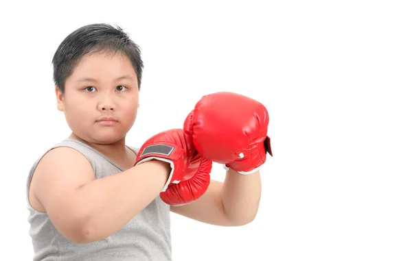 Niño Gordo Obeso Luchando Con Guantes Boxeo Rojos Aislados Sobre — Foto de Stock