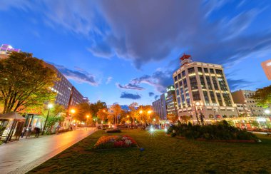 Sapporo, Hokkaido, Japonya - 8 Ekim 2018: Odori Park manzara sonbahar sezonu akşam, Sapporo Odori Park dinlenme ve rahatlama için vatandaşların ve turistlerin bir park mı