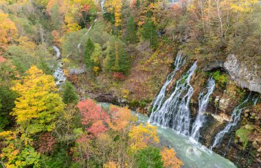 Güzel Shirahige şelale ve renkli ağaç Güz, Biei, Hokkaido, Japonya