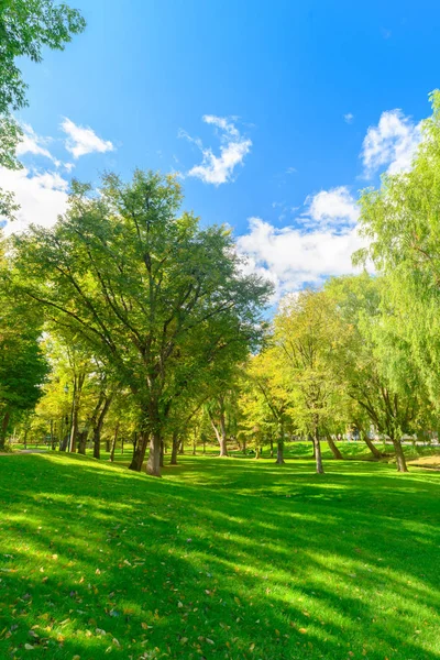 Großer Baum Und Grünes Gras Und Blauer Himmel Frühherbst Park — Stockfoto