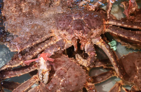 Crab Rei Fresco Água Mercado Peixe Japão Taraba Nome Rei — Fotografia de Stock