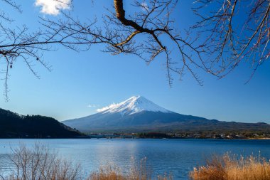 Peyzaj göl Kawaguchiko, Fuji Dağı. İkonik ve sembolik dağ Japonya. Doğal gündoğumu Fujisan sabah saat, Kawaguchiko, Yamanashi, Japan