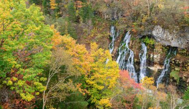 Sonbahar sezonu, Biei, Hokkaido, Japonya üzerinde renkli ormandaki güzel Shirahige şelale
