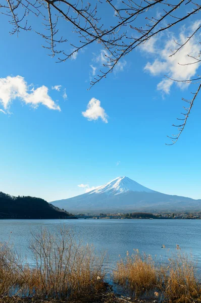 Táj Fuji Hegy Kawaguchiko Partjától Reggeli Ideje Yamanashi Japán — Stock Fotó