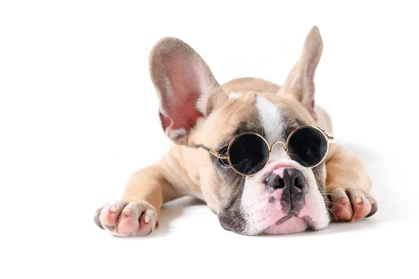 Śliczne francuskie Bulldog nosić okulary przeciwsłoneczne i spanie — Zdjęcie stockowe