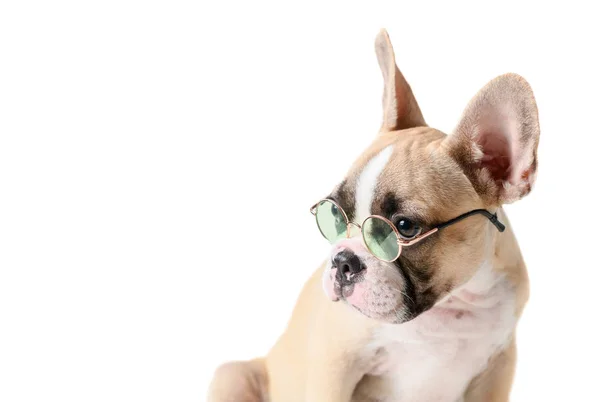 Śliczne francuskie Bulldog nosić okulary na białym tle — Zdjęcie stockowe