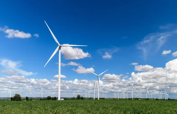 Molinos Viento Para Producción Energía Eléctrica Campo Cassava Cielo Azul Fotos De Stock