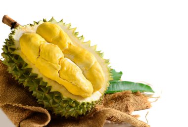 Olgun Durian meyvesi ya da Durio zibethinus, sarı kremsi posalı, beyaz arka planda izole. Güneydoğu Asya 'da meyvelerin kralı olarak bilinir. Tayland, Malezya ve Endonezya 'da popülerdir..