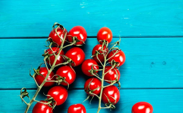 Gospodarstwie uprawiane pomidory Cherry — Zdjęcie stockowe
