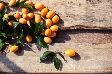 Bir tabloda kayısı